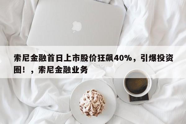 索尼金融首日上市股价狂飙40%,引爆投资圈!,索尼金融业务