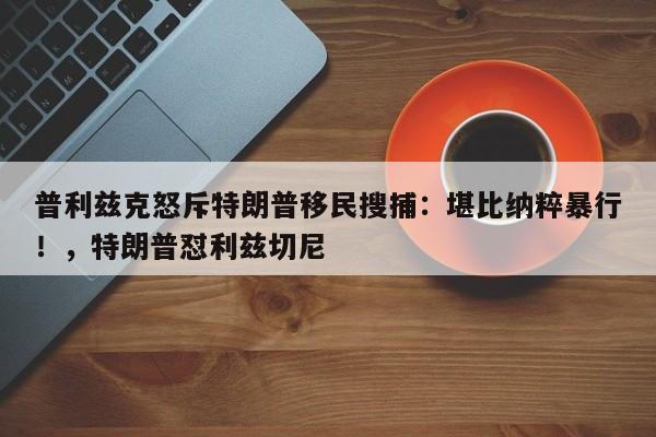普利兹克怒斥特朗普移民搜捕:堪比纳粹暴行!,特朗普怼利兹切尼