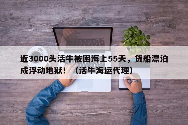 近3000头活牛被困海上55天,货船漂泊成浮动地狱!(活牛海运代理)