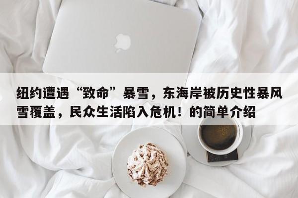 纽约遭遇“致命”暴雪,东海岸被历史性暴风雪覆盖,民众生活陷入危机!的简单介绍