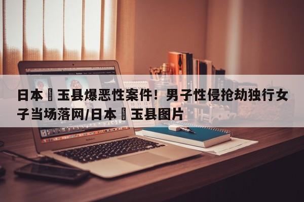 日本埼玉县爆恶性案件!男子性侵抢劫独行女子当场落网/日本埼玉县图片