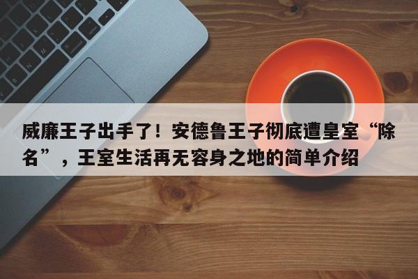 威廉王子出手了!安德鲁王子彻底遭皇室“除名”,王室生活再无容身之地的简单介绍