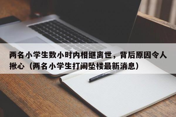 两名小学生数小时内相继离世,背后原因令人揪心(两名小学生打闹坠楼最新消息)