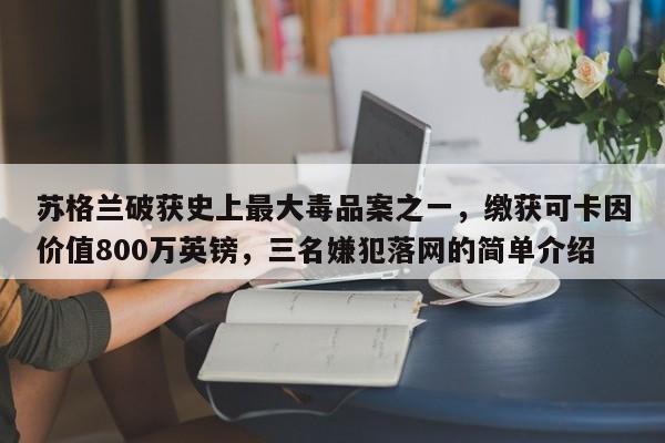 苏格兰破获史上最大毒品案之一,缴获可卡因价值800万英镑,三名嫌犯落网的简单介绍