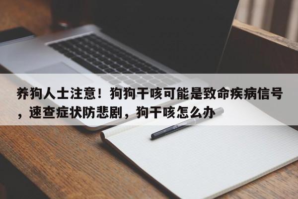 养狗人士注意!狗狗干咳可能是致命疾病信号,速查症状防悲剧,狗干咳怎么办