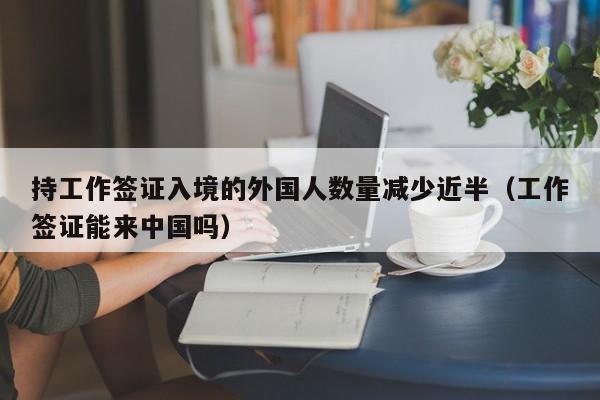 持工作签证入境的外国人数量减少近半(工作签证能来中国吗)