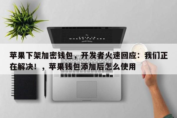 苹果下架加密钱包,开发者火速回应:我们正在解决!,苹果钱包添加后怎么使用