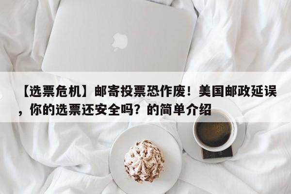 【选票危机】邮寄投票恐作废!美国邮政延误,你的选票还安全吗?的简单介绍