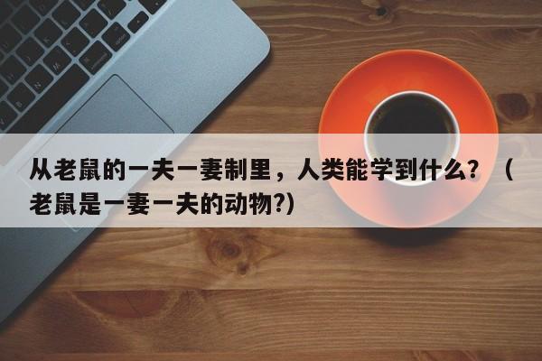 从老鼠的一夫一妻制里,人类能学到什么?(老鼠是一妻一夫的动物?)