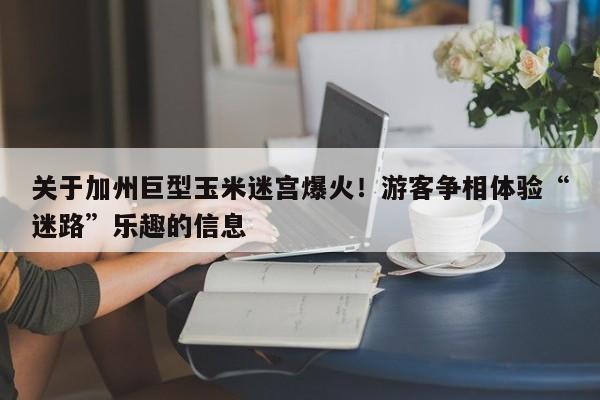 关于加州巨型玉米迷宫爆火!游客争相体验“迷路”乐趣的信息