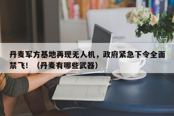 丹麦军方基地再现无人机,政府紧急下令全面禁飞!(丹麦有哪些武器)