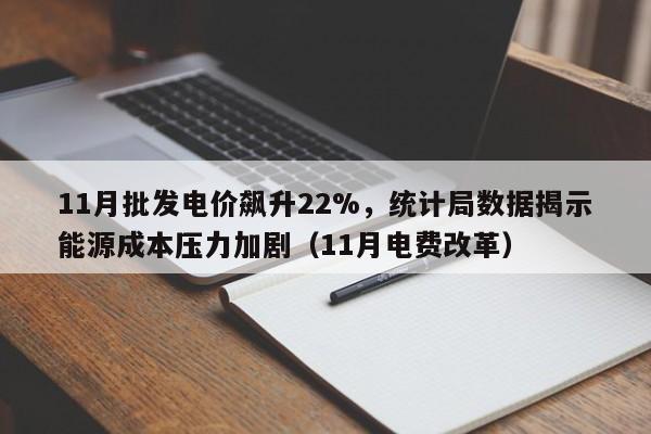 11月批发电价飙升22%,统计局数据揭示能源成本压力加剧(11月电费改革)
