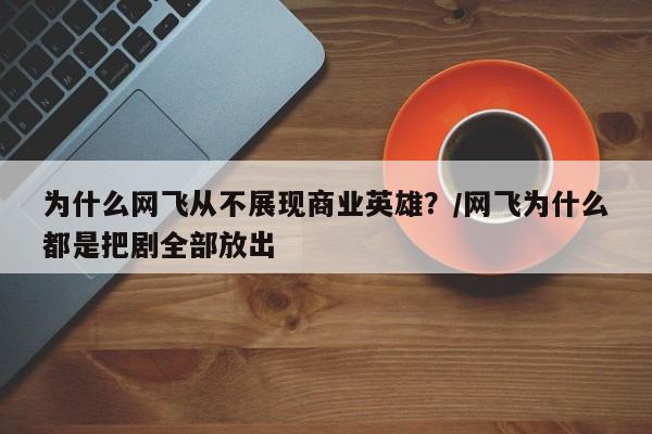 为什么网飞从不展现商业英雄?/网飞为什么都是把剧全部放出