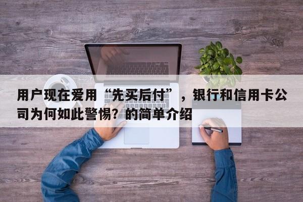 用户现在爱用“先买后付”,银行和信用卡公司为何如此警惕?的简单介绍