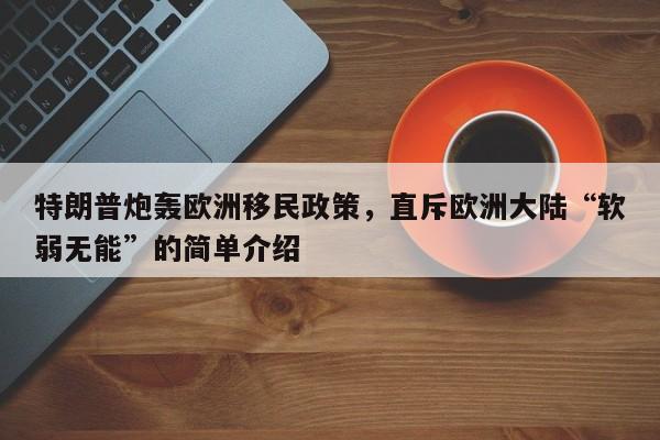 特朗普炮轰欧洲移民政策,直斥欧洲大陆“软弱无能”的简单介绍