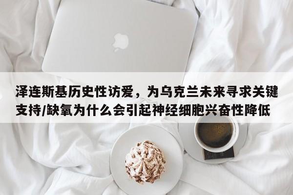 泽连斯基历史性访爱,为乌克兰未来寻求关键支持/缺氧为什么会引起神经细胞兴奋性降低