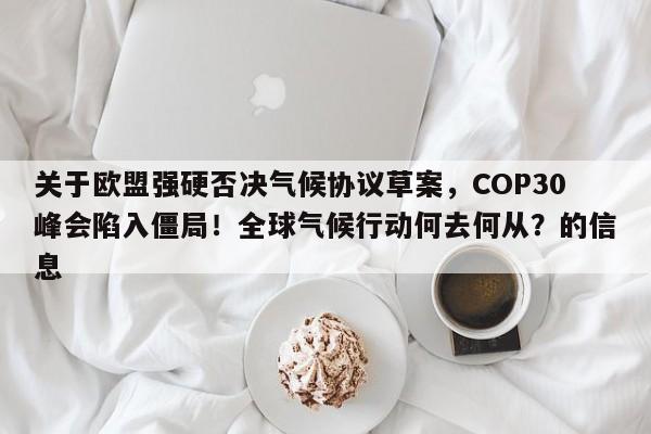 关于欧盟强硬否决气候协议草案,COP30峰会陷入僵局!全球气候行动何去何从?的信息