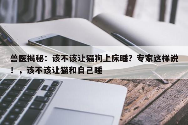 兽医揭秘:该不该让猫狗上床睡?专家这样说!,该不该让猫和自己睡