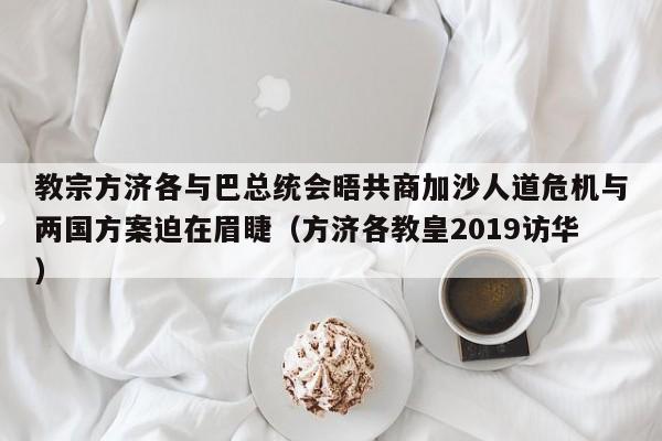 教宗方济各与巴总统会晤共商加沙人道危机与两国方案迫在眉睫(方济各教皇2019访华)