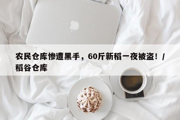 农民仓库惨遭黑手,60斤新稻一夜被盗!/稻谷仓库