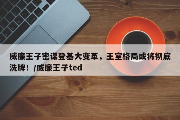 威廉王子密谋登基大变革,王室格局或将彻底洗牌!/威廉王子ted