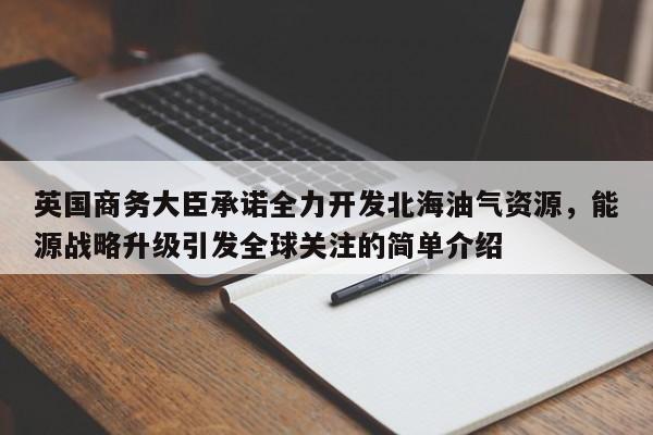 英国商务大臣承诺全力开发北海油气资源,能源战略升级引发全球关注的简单介绍
