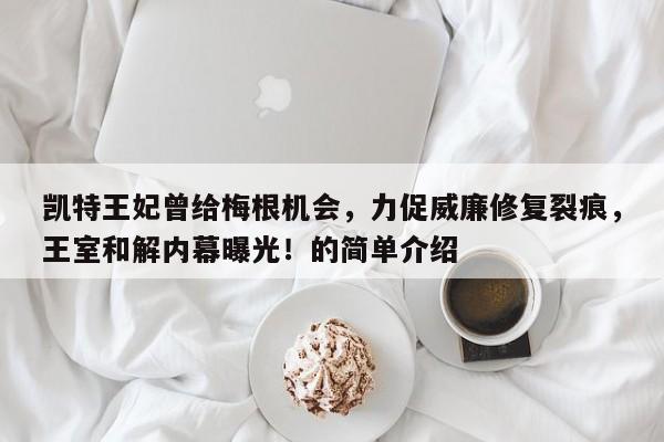 凯特王妃曾给梅根机会,力促威廉修复裂痕,王室和解内幕曝光!的简单介绍