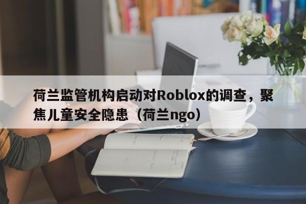 荷兰监管机构启动对Roblox的调查,聚焦儿童安全隐患(荷兰ngo)