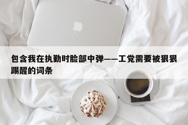 包含我在执勤时脸部中弹——工党需要被狠狠踢醒的词条