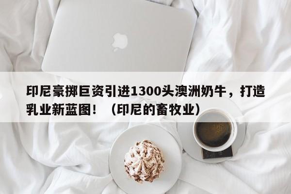 印尼豪掷巨资引进1300头澳洲奶牛,打造乳业新蓝图!(印尼的畜牧业)